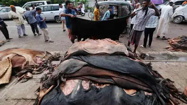 কুরবানির চামড়া ব্যবস্থাপনা ও সদকা হিসাবে ব্যবহার