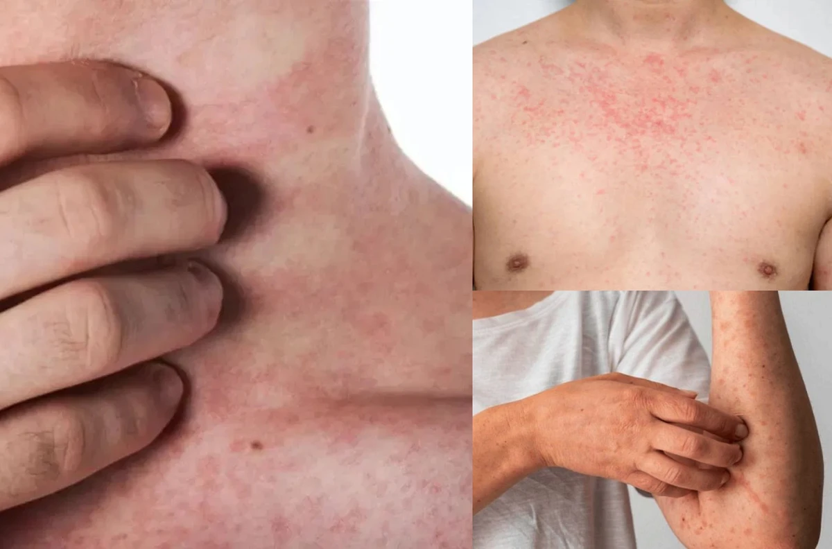 পত্রিকা