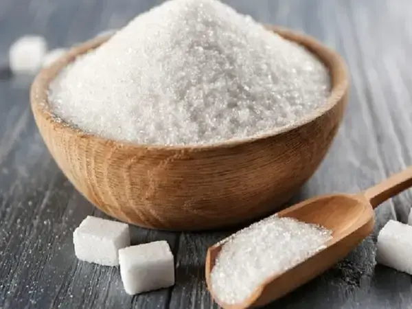 পত্রিকা