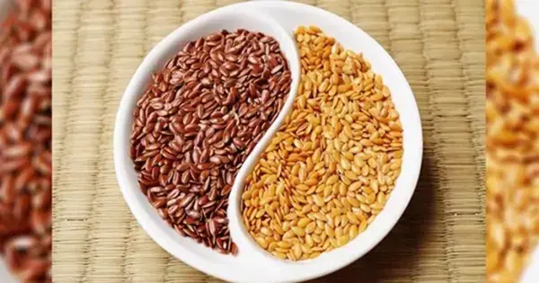 পত্রিকা