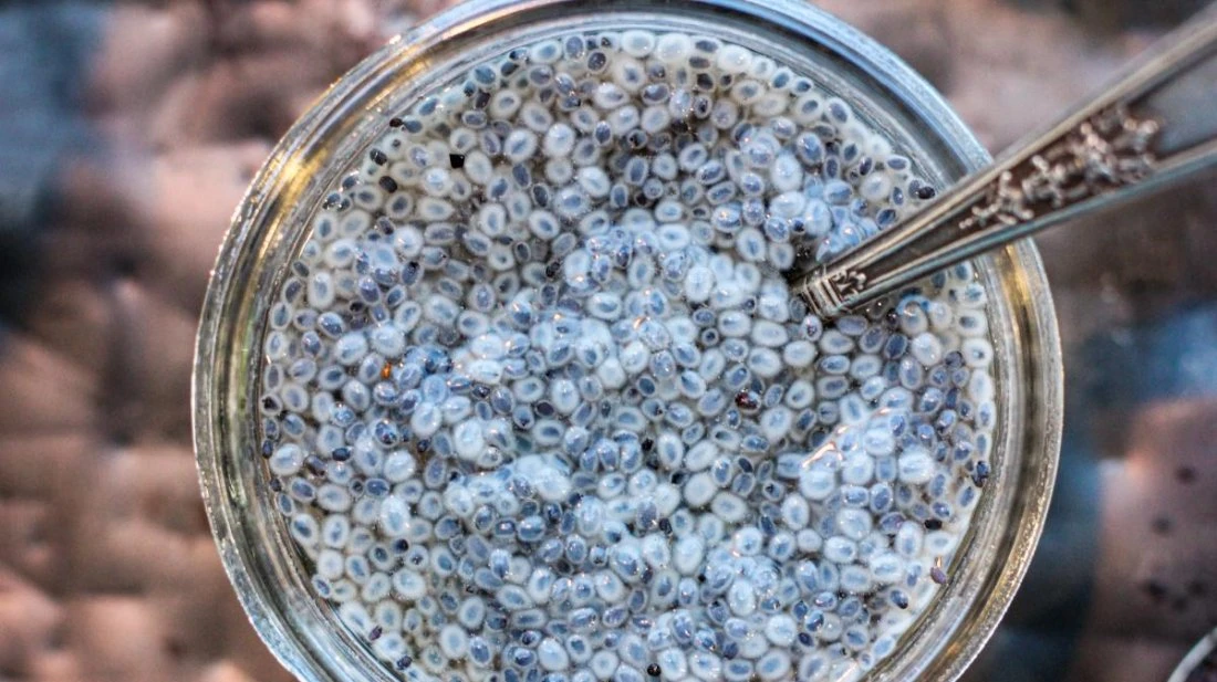 তোকমা খাওয়ার ১৪টি উপকারিতা