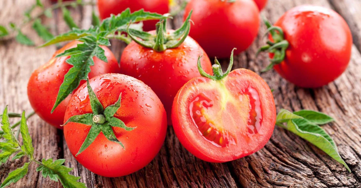 পত্রিকা