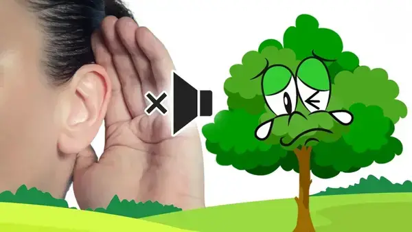 পত্রিকা