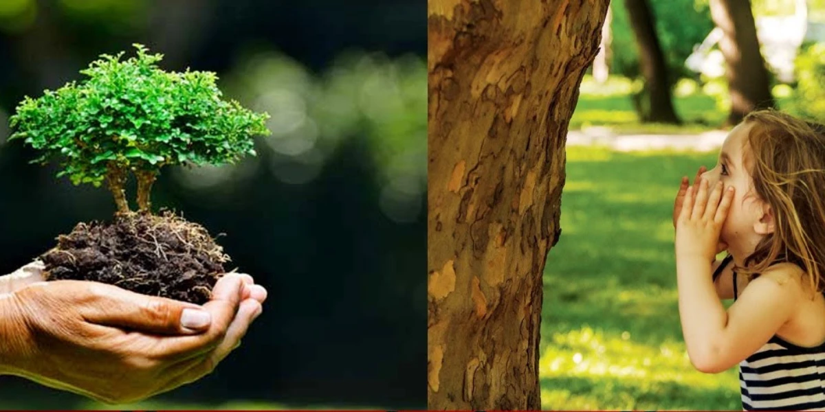 পত্রিকা