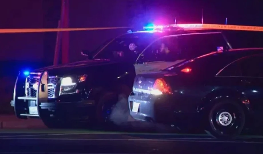 পত্রিকা