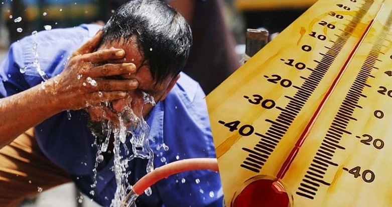 পত্রিকা