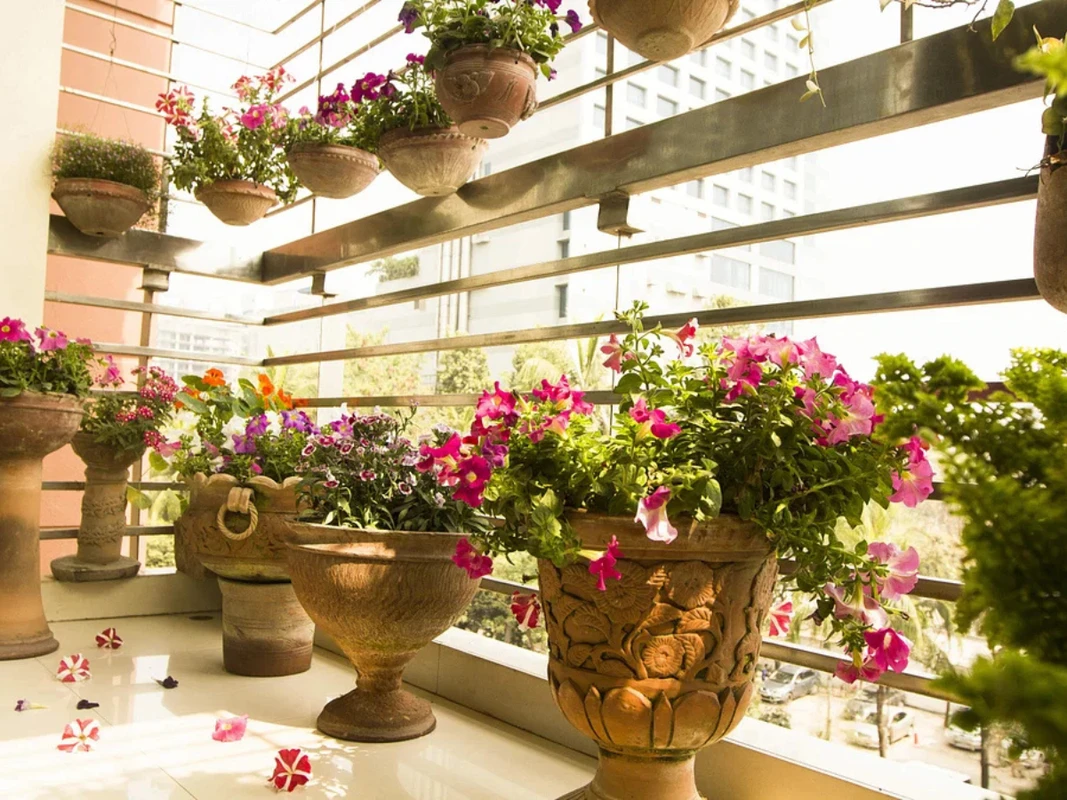 পত্রিকা